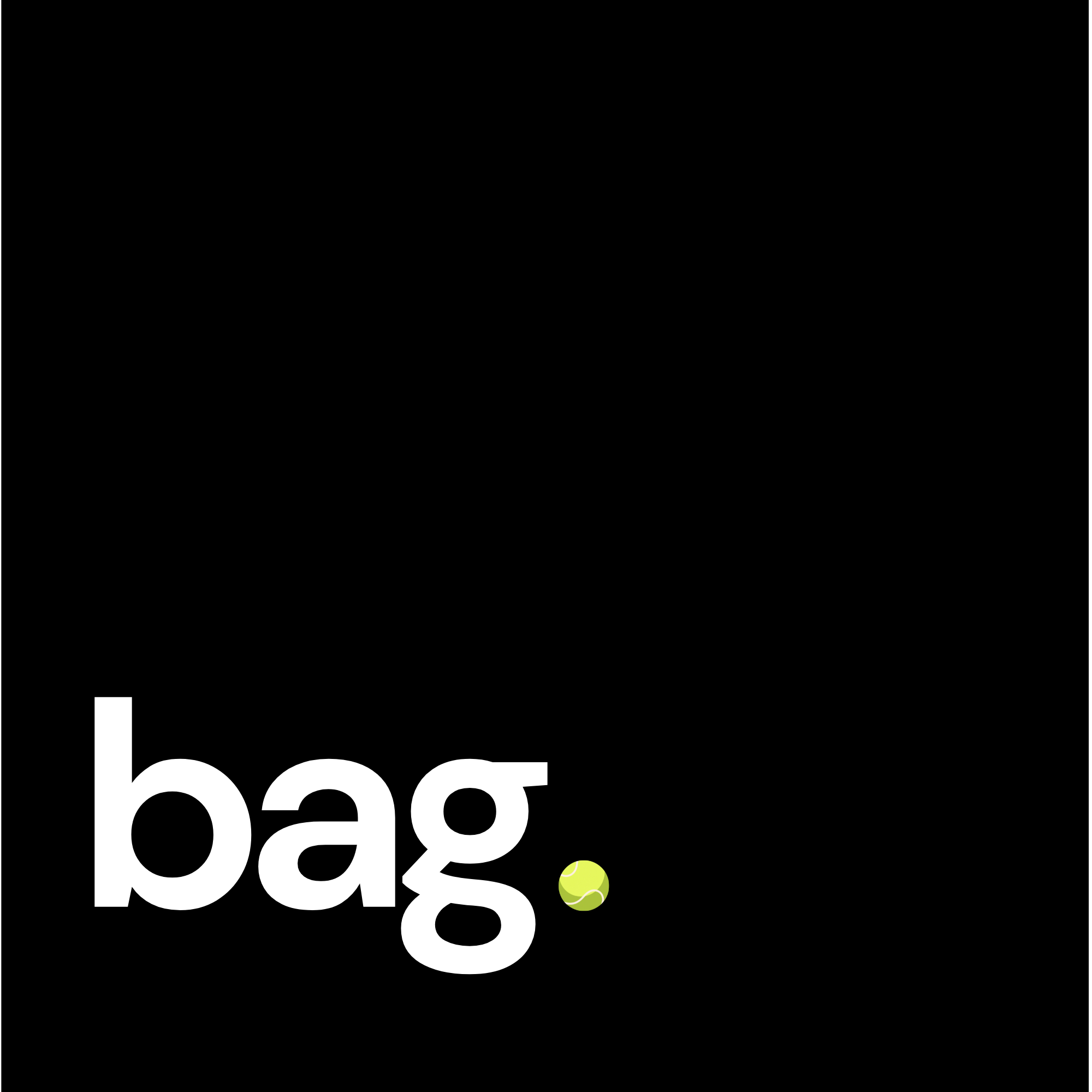 bag.